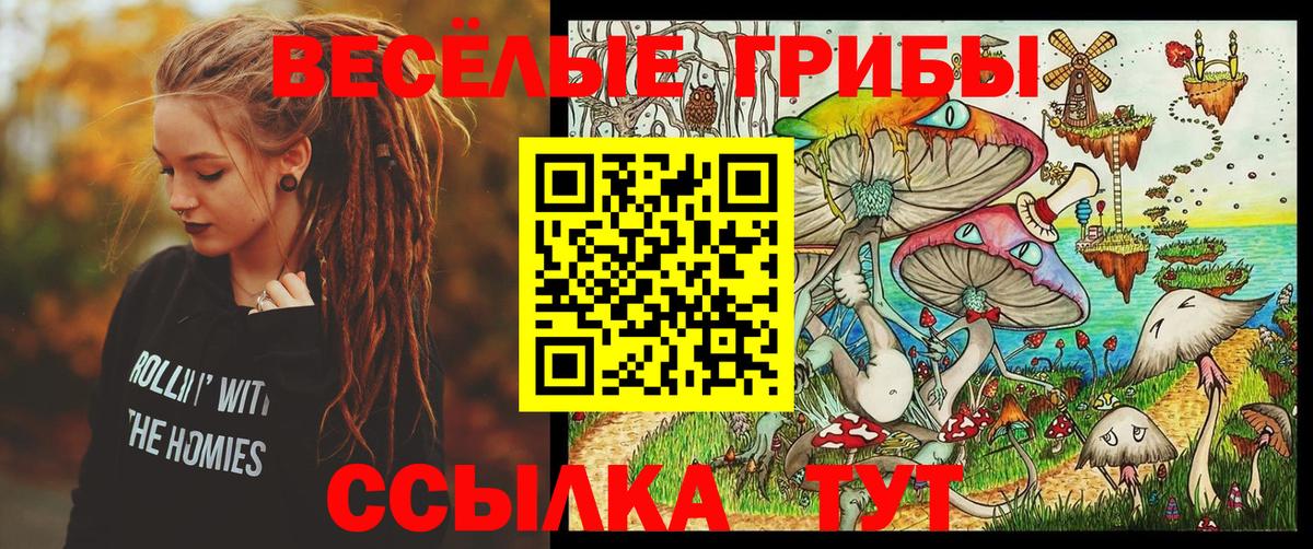 Галлюциногенные грибы Psilocybe  Вход с VPN  где купить наркоту  Галлюциногенные грибы мухоморы  Бердск 