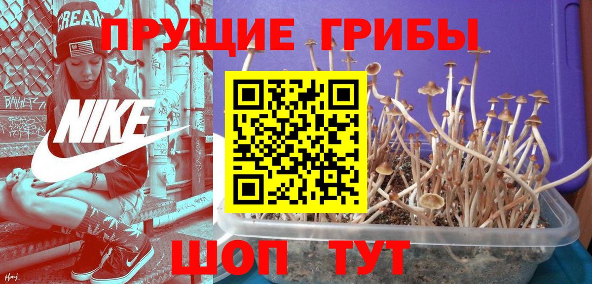 Галлюциногенные грибы мицелий Бердск